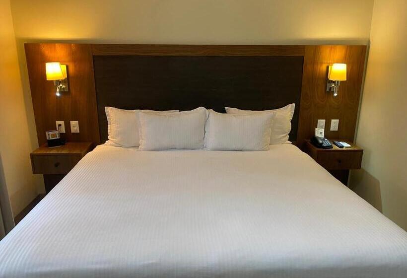 キングサイズベッドのスイートルーム, Wyndham Garden Mexico City Reforma