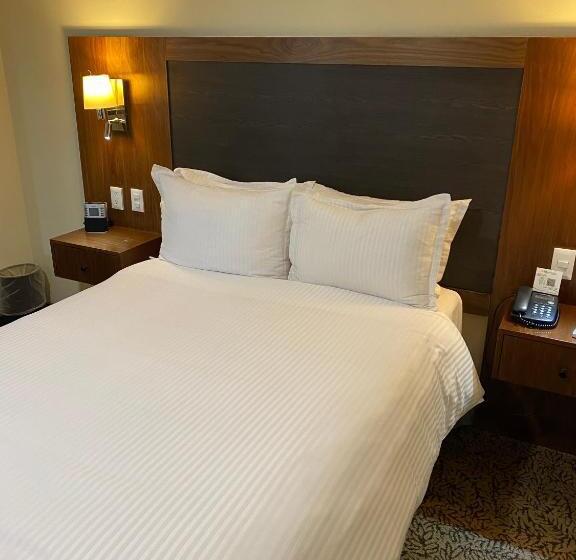 スイート, Wyndham Garden Mexico City Reforma