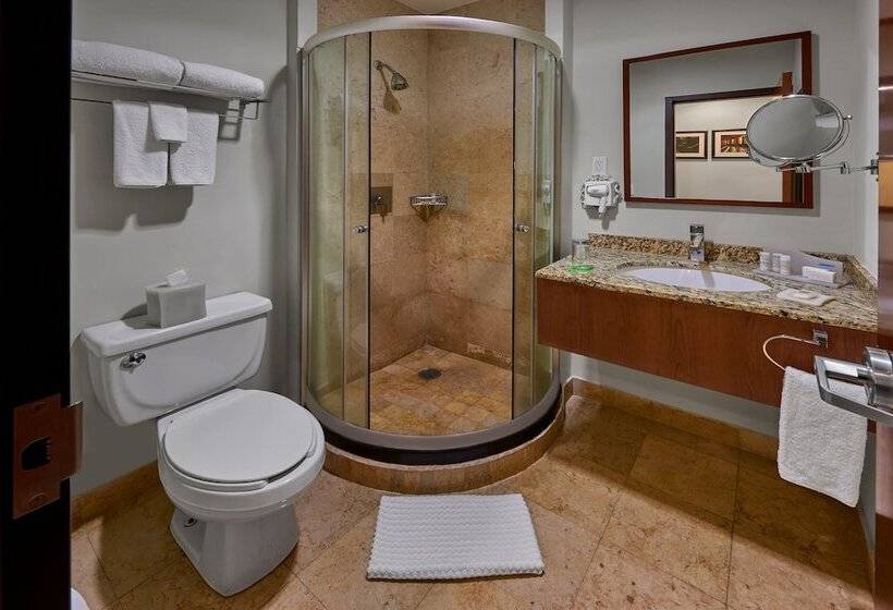 スイート, Wyndham Garden Mexico City Reforma