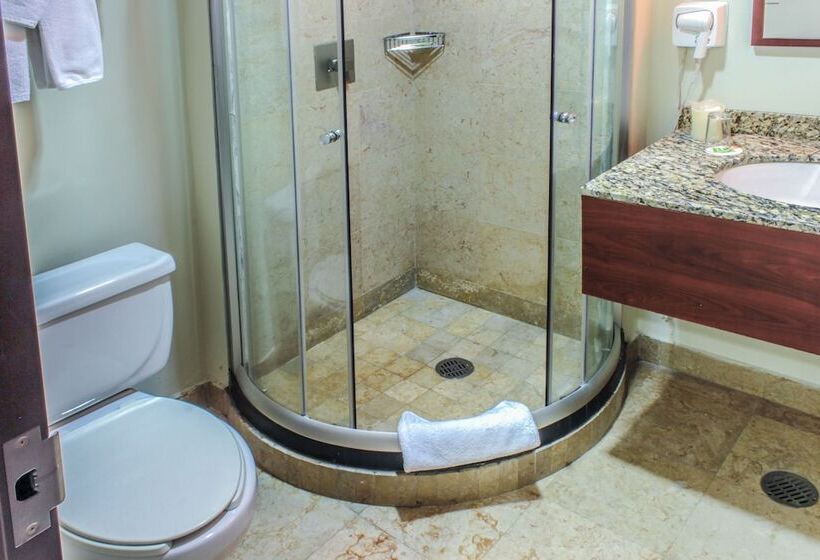 スイート, Wyndham Garden Mexico City Reforma