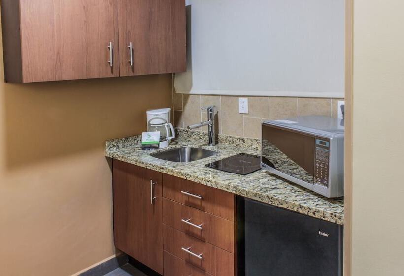 スイート, Wyndham Garden Mexico City Reforma