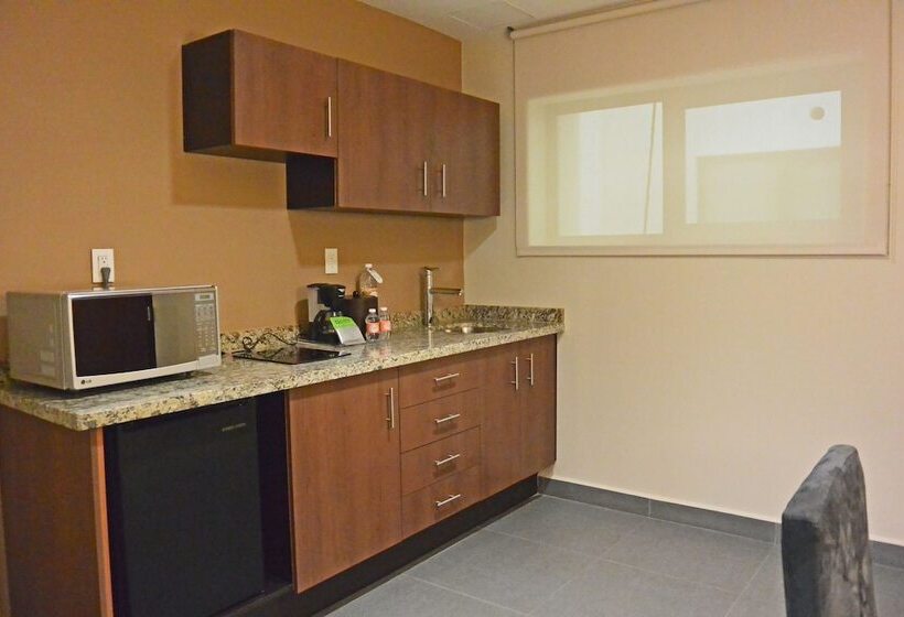 スイート, Wyndham Garden Mexico City Reforma