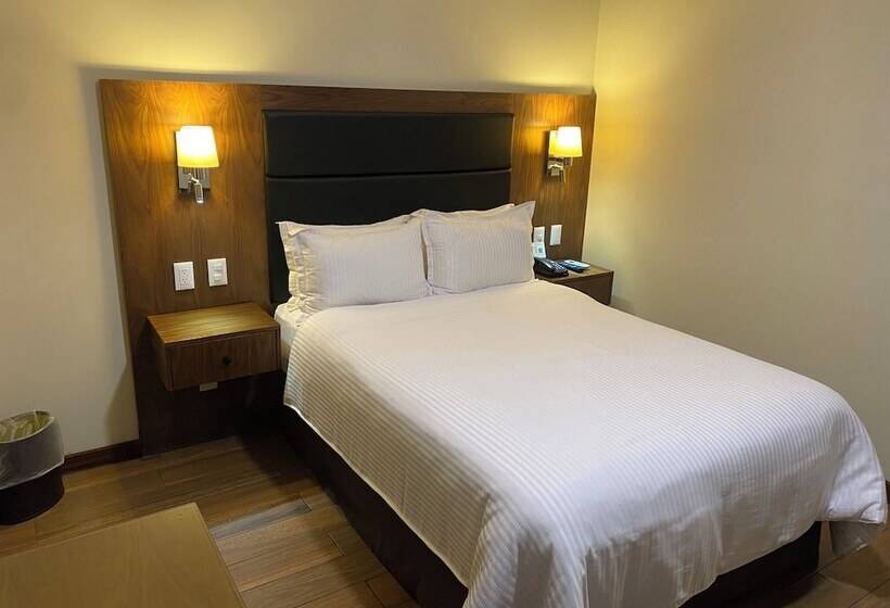 スイート, Wyndham Garden Mexico City Reforma