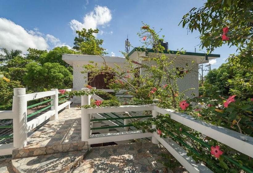 سوییت, Beach House Condos, Negril