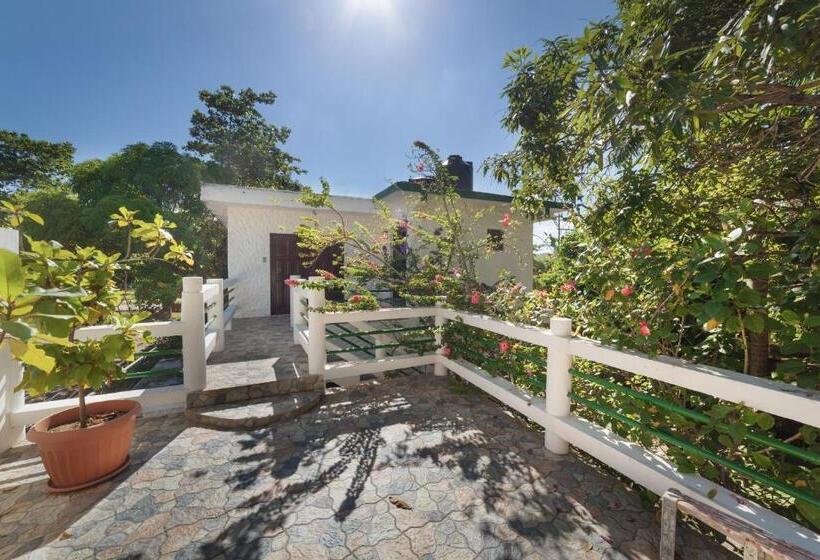 سوییت, Beach House Condos, Negril