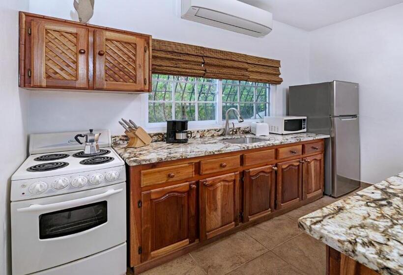 استودیوی استاندارد, Beach House Condos, Negril