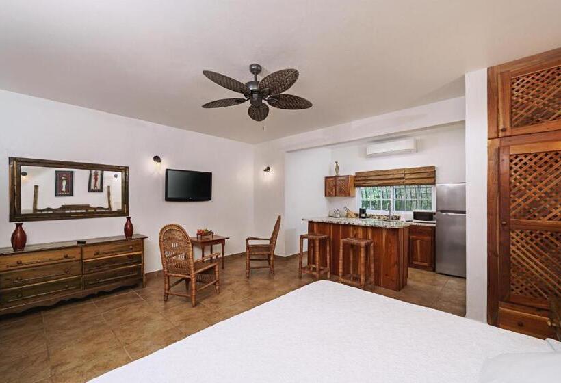 استودیوی استاندارد, Beach House Condos, Negril