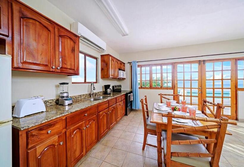 اتاق پنت هاوس, Beach House Condos, Negril