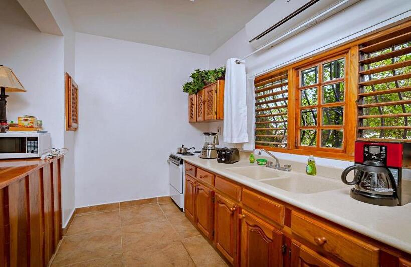 استودیوی استاندارد, Beach House Condos, Negril