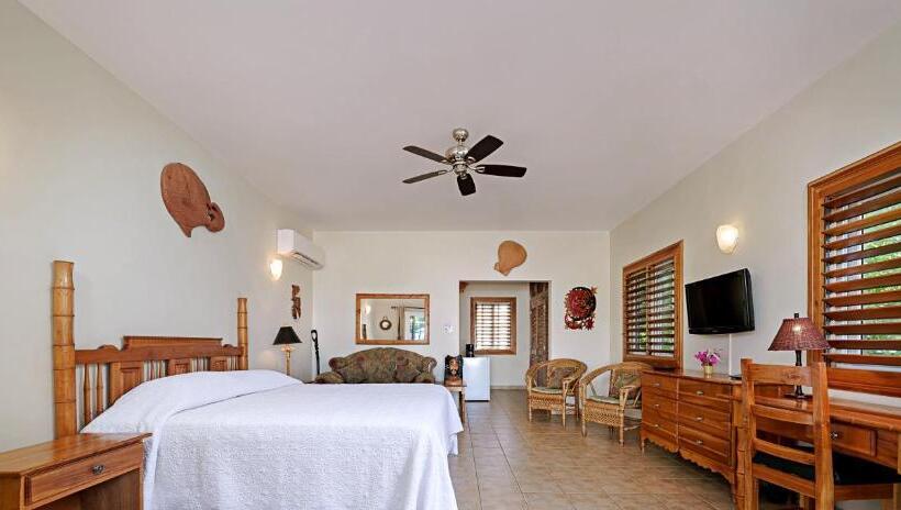 خانه 1 خوابه, Beach House Condos, Negril