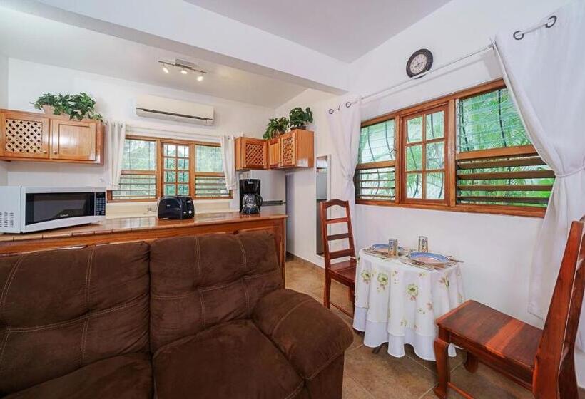 استودیوی استاندارد, Beach House Condos, Negril