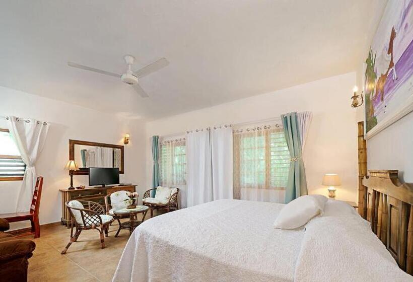 استودیوی استاندارد, Beach House Condos, Negril