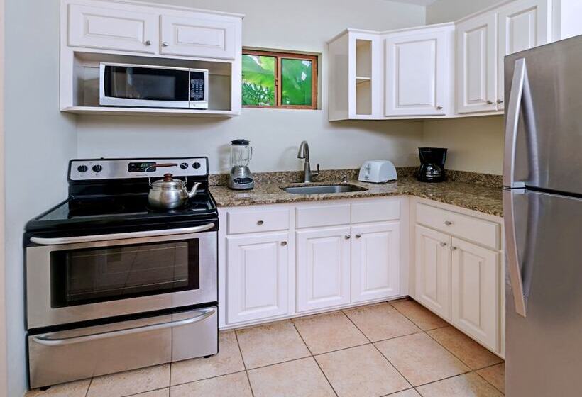 خانه 1 خوابه, Beach House Condos, Negril