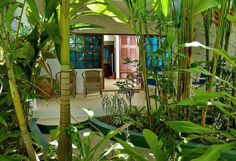 استودیوی استاندارد, Beach House Condos, Negril