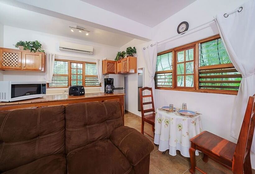 استودیوی استاندارد, Beach House Condos, Negril