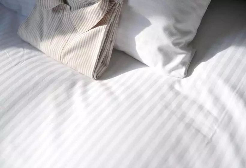 スタンダードルーム, 7 Days Hotel Plus