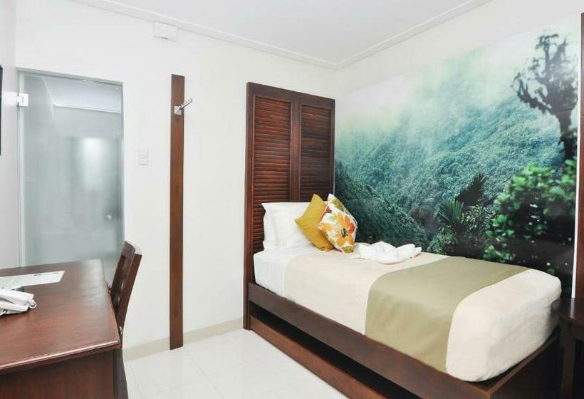 수피리어 싱글 룸, 717 Cesar Place