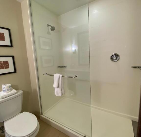 带大床的套房, Comfort Suites Manheim   Lancaster