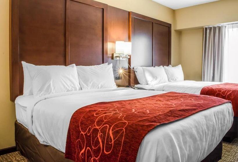 Люкс, Comfort Suites Manheim Lancaster