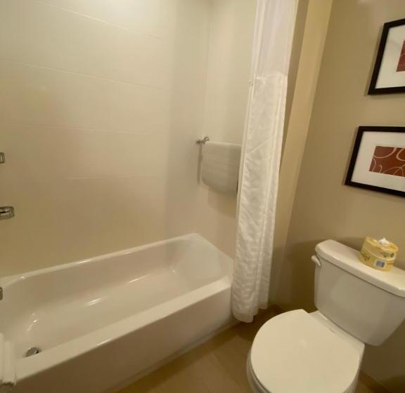 套房, Comfort Suites Manheim   Lancaster