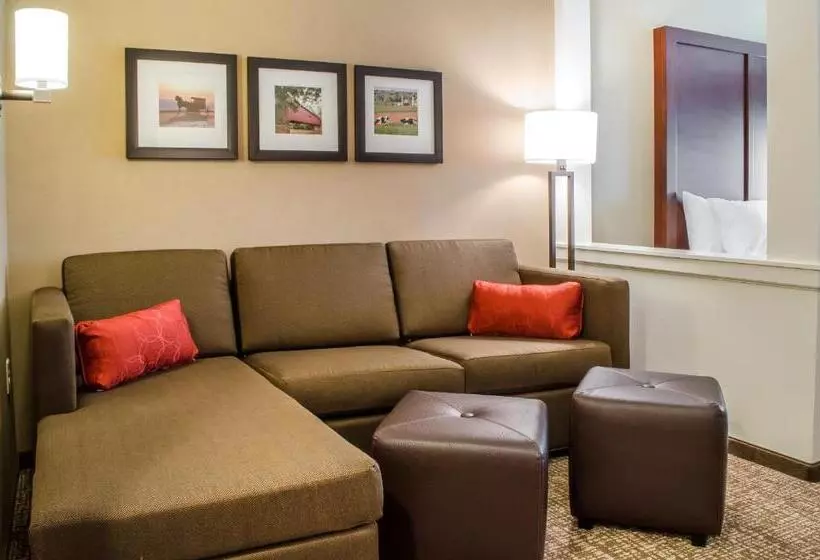 身障者適用スイートルーム, Comfort Suites Manheim   Lancaster