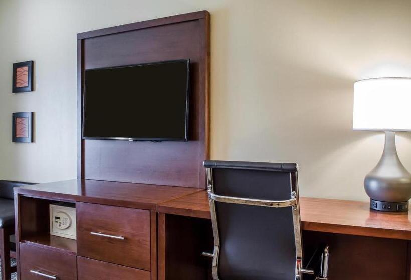 适合残疾人士使用的套间, Comfort Suites Manheim   Lancaster