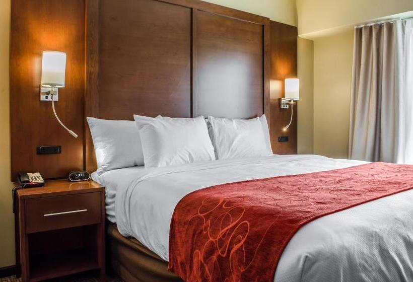 适合残疾人士使用的套间, Comfort Suites Manheim   Lancaster
