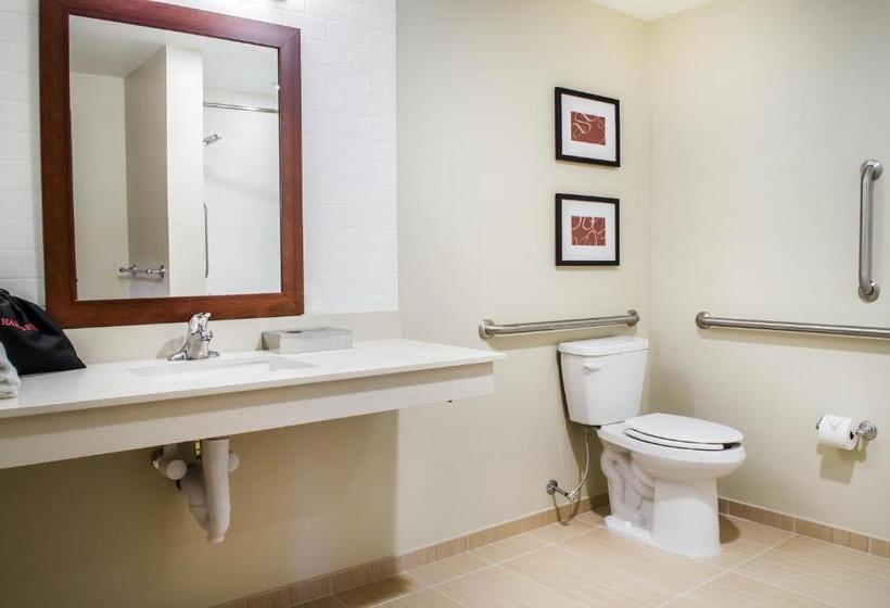 Люкс Адаптированный для Инвалидов, Comfort Suites Manheim Lancaster