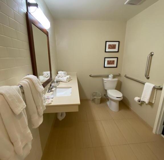 Люкс Адаптированный для Инвалидов, Comfort Suites Manheim Lancaster