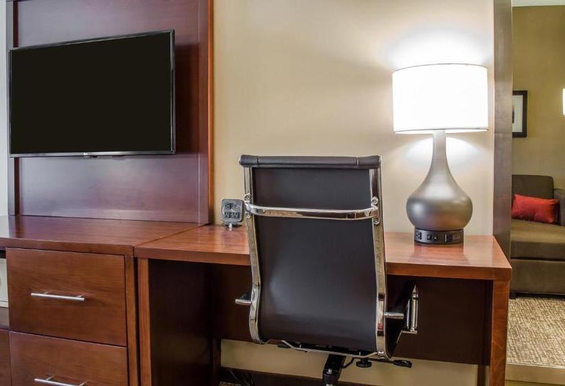 适合残疾人士使用的套间, Comfort Suites Manheim   Lancaster