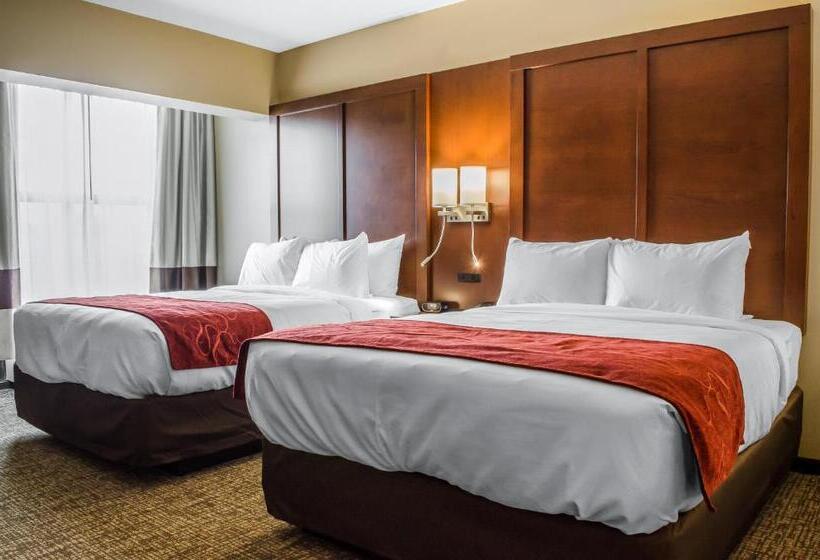 Люкс Адаптированный для Инвалидов, Comfort Suites Manheim Lancaster