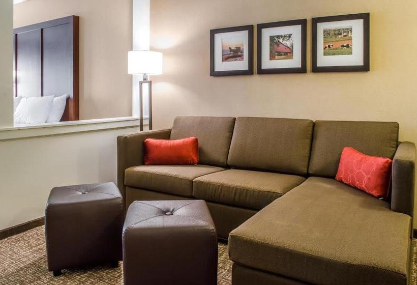 Люкс Адаптированный для Инвалидов, Comfort Suites Manheim Lancaster