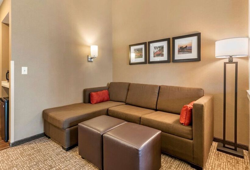 套房, Comfort Suites Manheim   Lancaster
