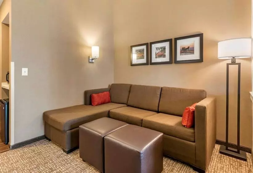 スイート, Comfort Suites Manheim   Lancaster