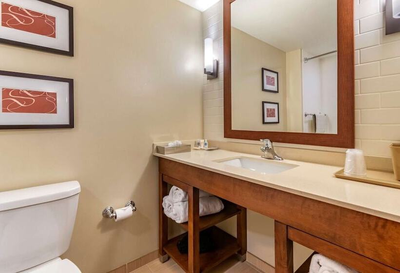 Люкс Адаптированный для Инвалидов, Comfort Suites Manheim Lancaster