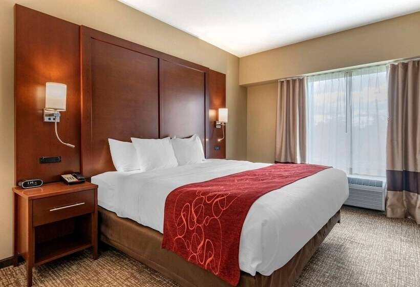 Люкс Адаптированный для Инвалидов, Comfort Suites Manheim Lancaster