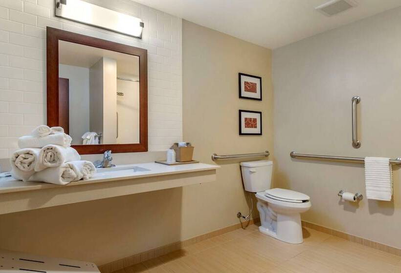 适合残疾人士使用的套间, Comfort Suites Manheim   Lancaster