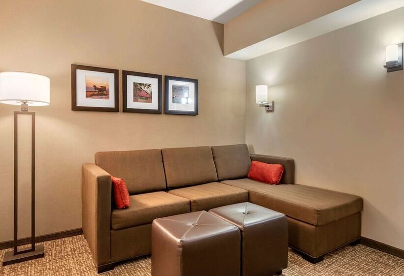 Люкс Адаптированный для Инвалидов, Comfort Suites Manheim Lancaster