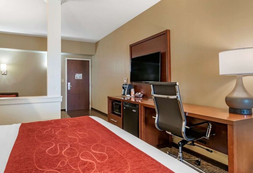 Люкс Адаптированный для Инвалидов, Comfort Suites Manheim Lancaster