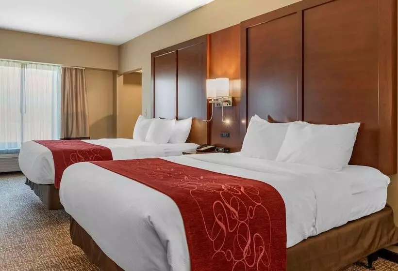 身障者適用スイートルーム, Comfort Suites Manheim   Lancaster