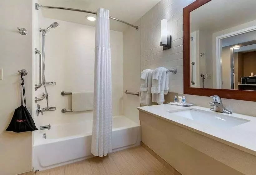 身障者適用スイートルーム, Comfort Suites Manheim   Lancaster