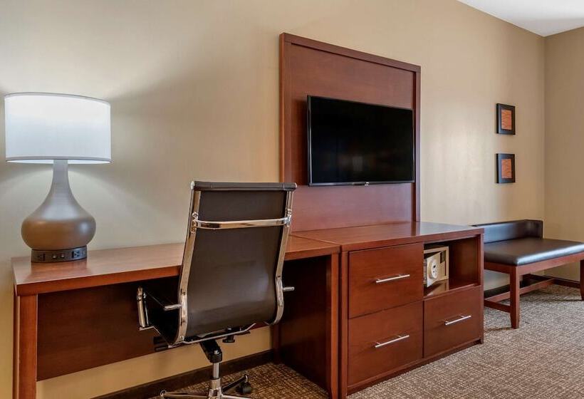 Люкс Адаптированный для Инвалидов, Comfort Suites Manheim Lancaster