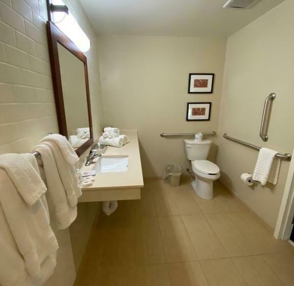 带大床的套房, Comfort Suites Manheim   Lancaster