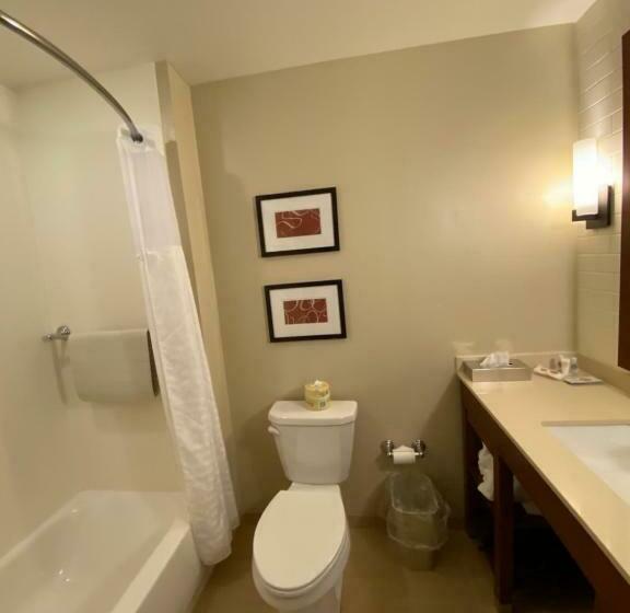 Люкс, Comfort Suites Manheim Lancaster