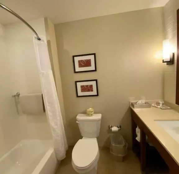 スイート, Comfort Suites Manheim   Lancaster