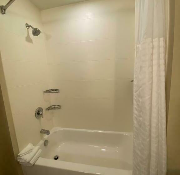 Люкс, Comfort Suites Manheim Lancaster