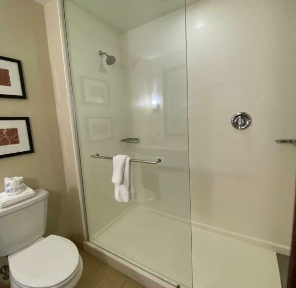 套房, Comfort Suites Manheim   Lancaster