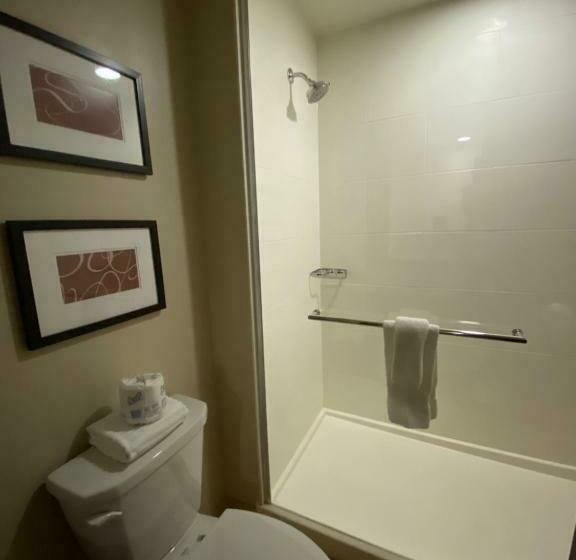 Люкс Кровать Кинг, Comfort Suites Manheim Lancaster