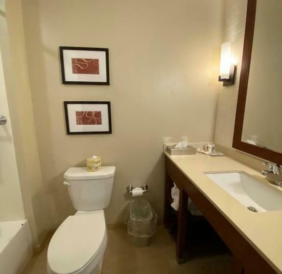 Люкс, Comfort Suites Manheim Lancaster