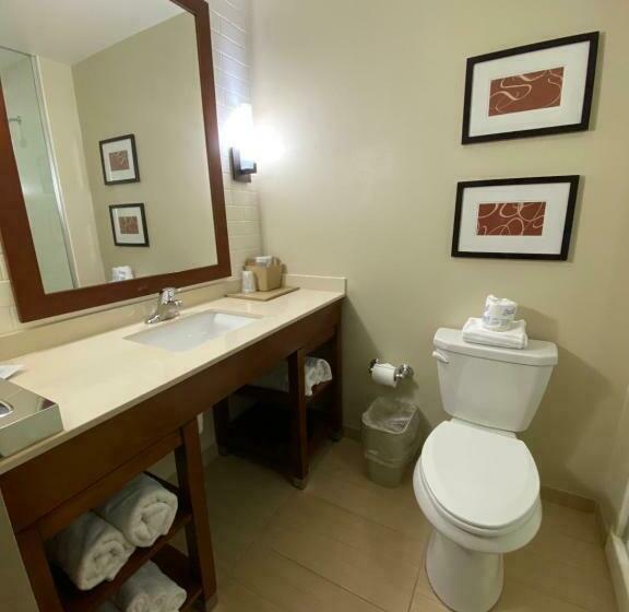 Люкс Кровать Кинг, Comfort Suites Manheim Lancaster